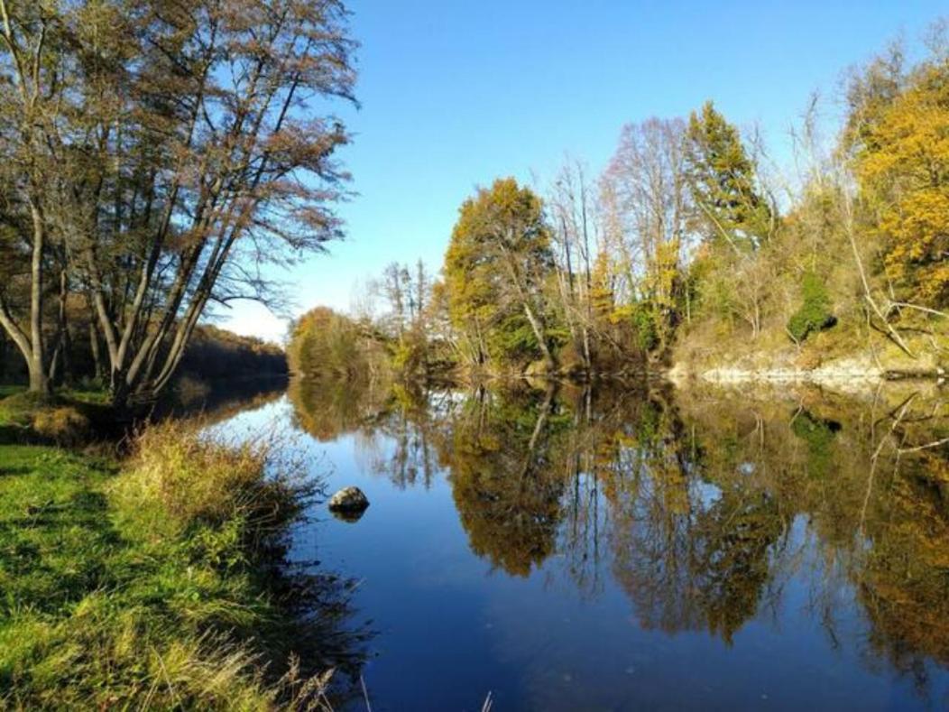Petit T2 Au Bord De L'allier Holiday home *